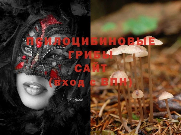 эйфоретик Абаза